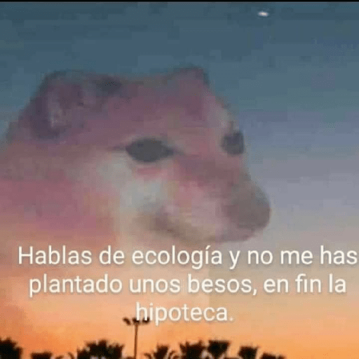 Perritos 16