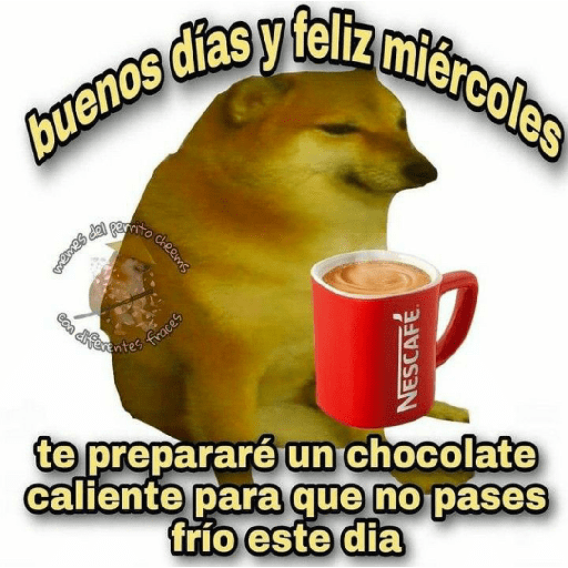 Perritos 6