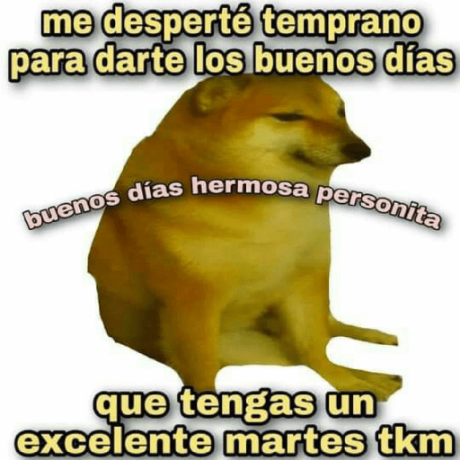 Perritos 2