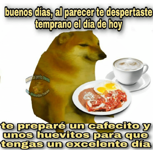 Perritos 11