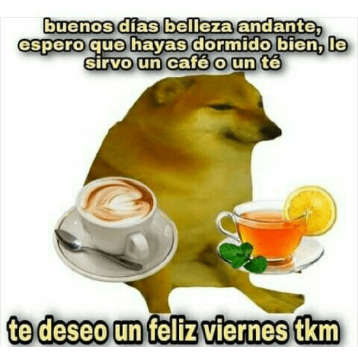 Perritos 12