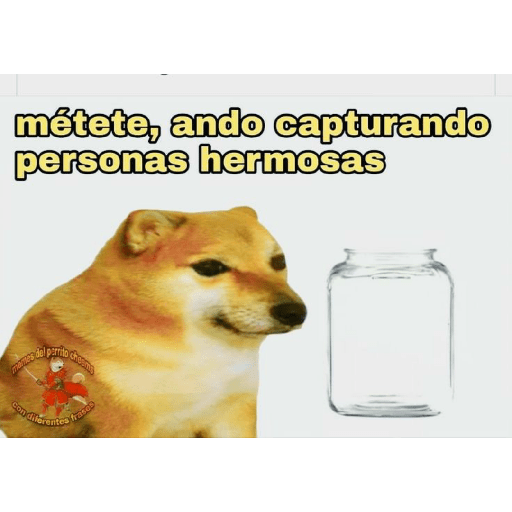 Perritos 18