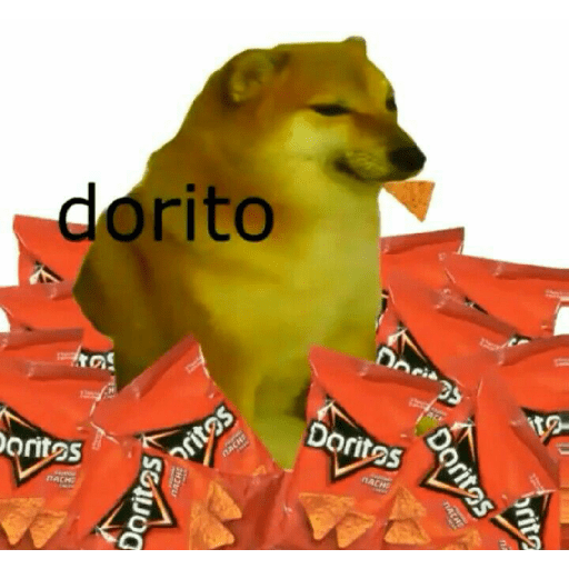 Perritos 25