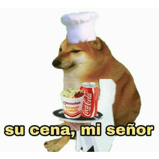 Perritos 13