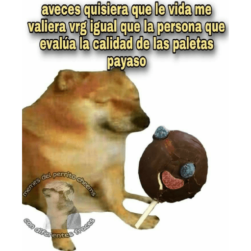 Perritos 4