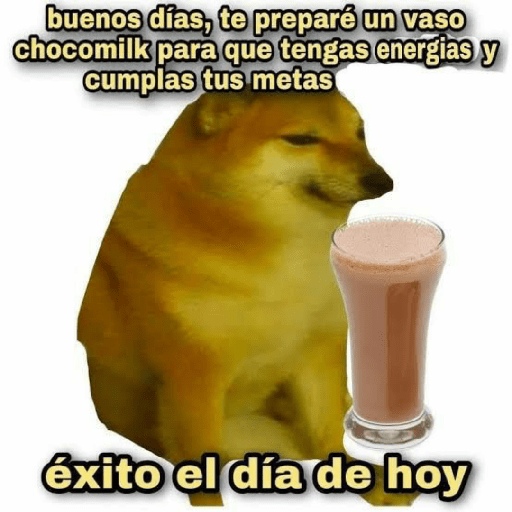 Perritos 14