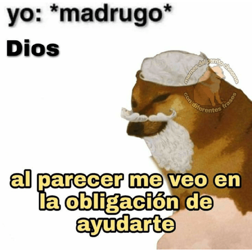 Perritos 3