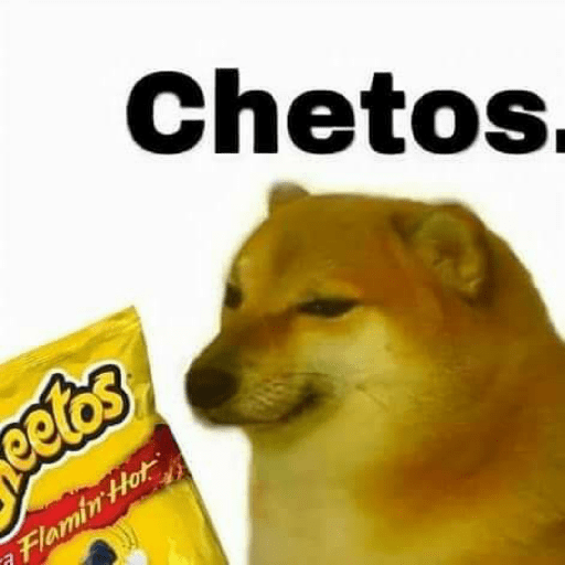 Perritos 24
