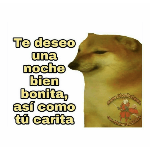 Perritos 15