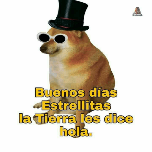 Perritos 7