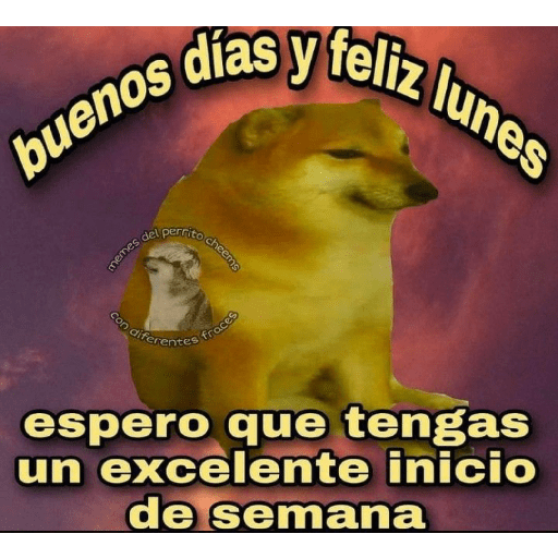 Perritos 5