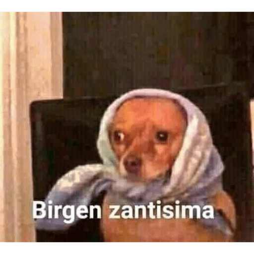 Perritos buena onda  2