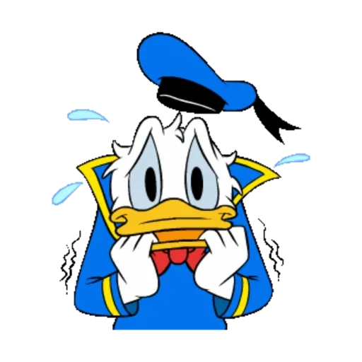 Daisy & Donald4