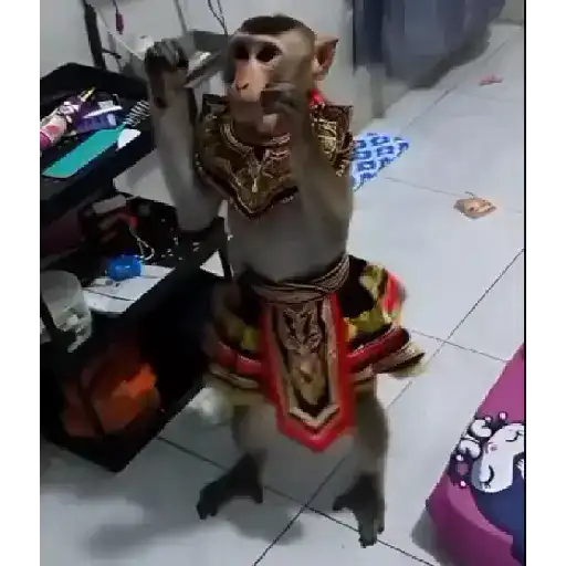 اسٹیکر