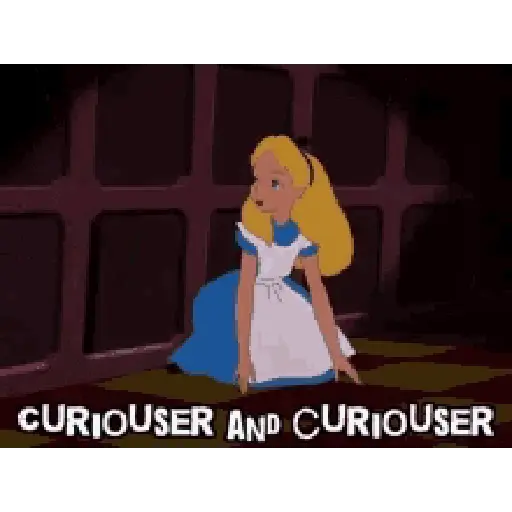 Curious 