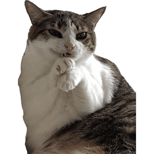 Sticker 9