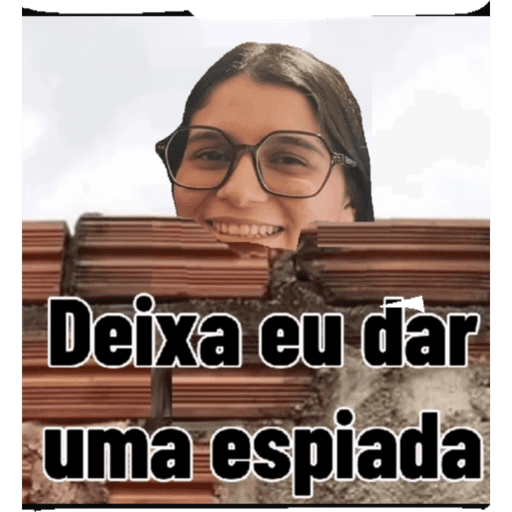 Minhas figurinhas