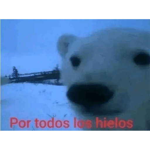 Momazos 3