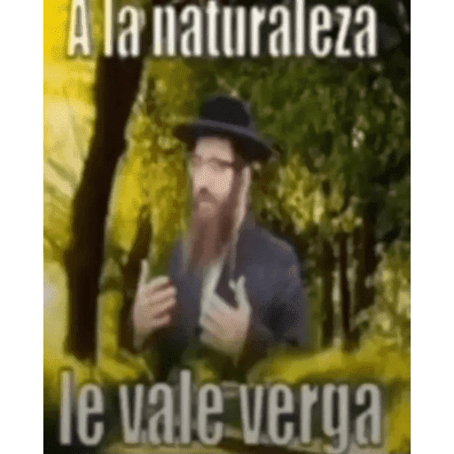 Momazos 11