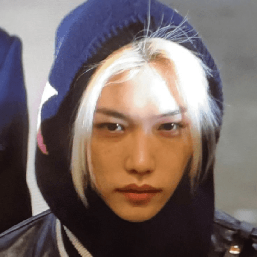 ☆ ࣪ ˓˓ Felix 🔖 ࣪ ۪ 🐥 ָ֢ !!