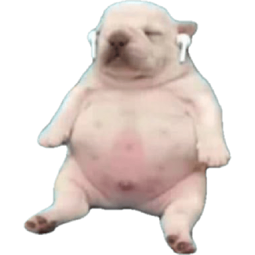 Xdd 7