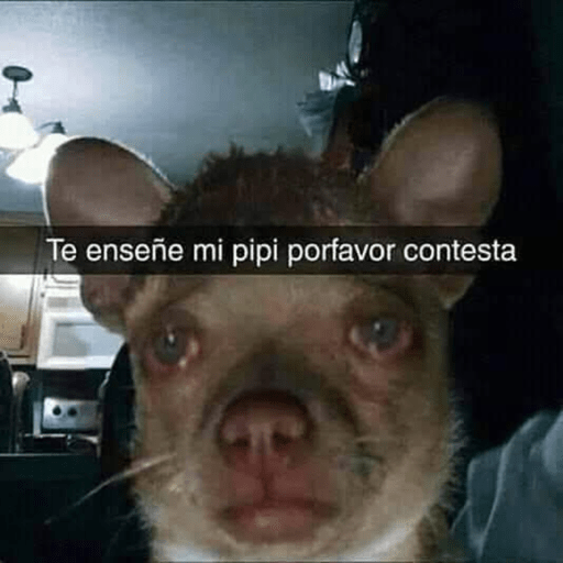 Jjdiej 7