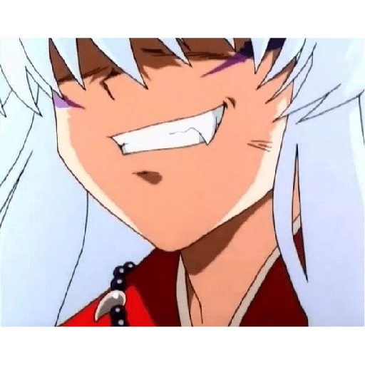 Inuyasha 11