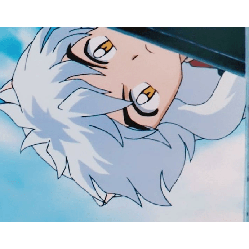 Inuyasha 13