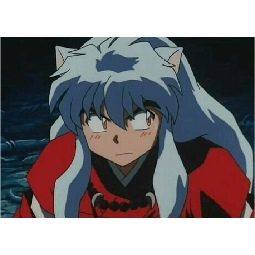 Inuyasha 14