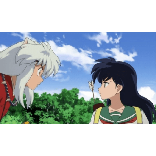 Inuyasha 17
