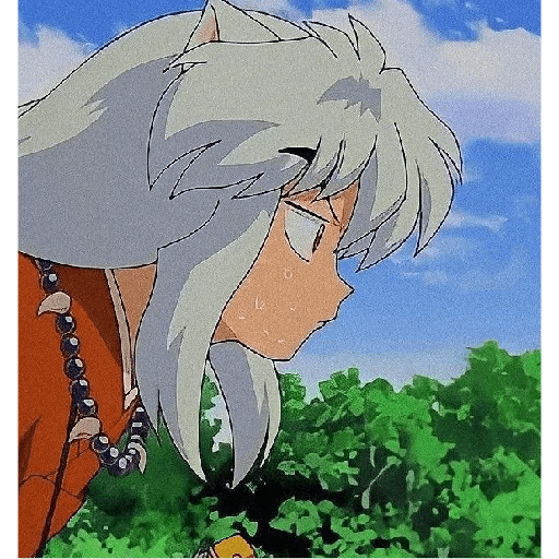 Inuyasha 18