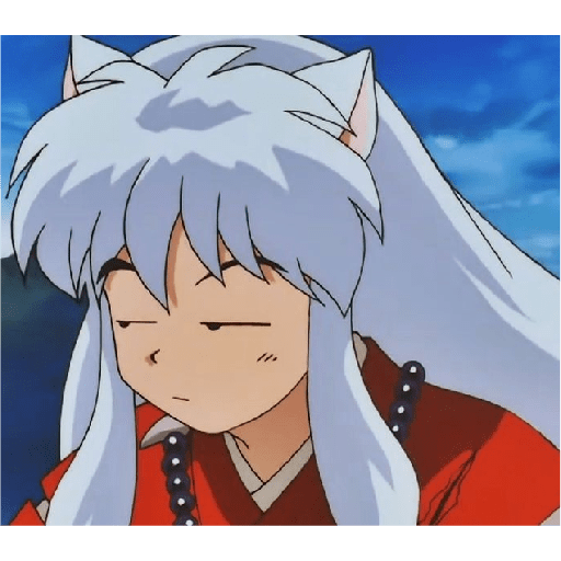Inuyasha 19