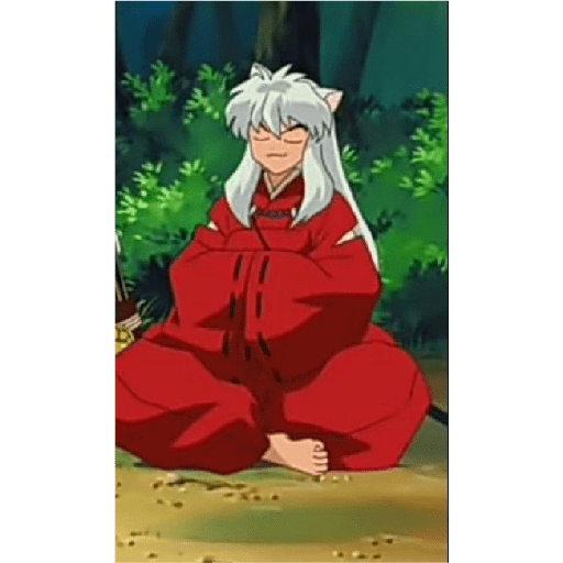 Inuyasha 20