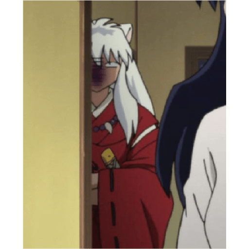 Inuyasha 22