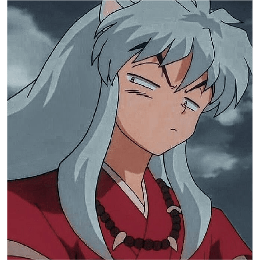 Inuyasha 6