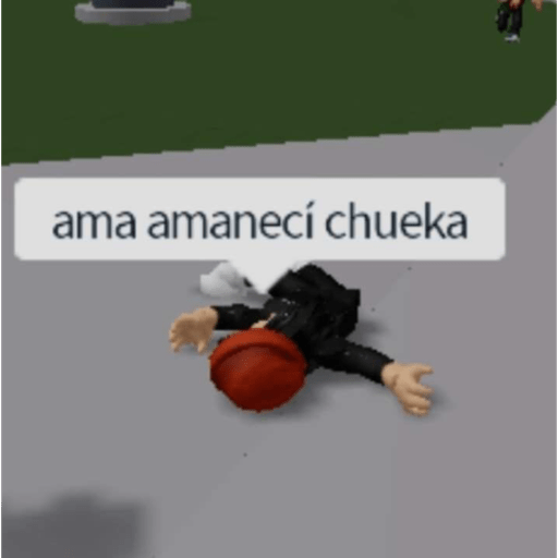 Memes roblox  13