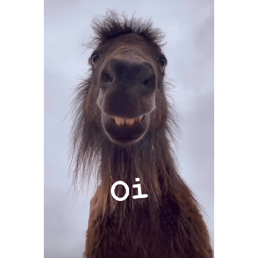 JÁ VI KKKK 5