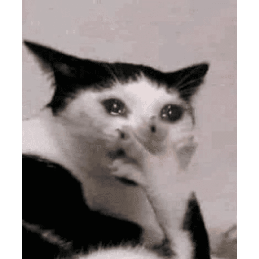 Lol 4
