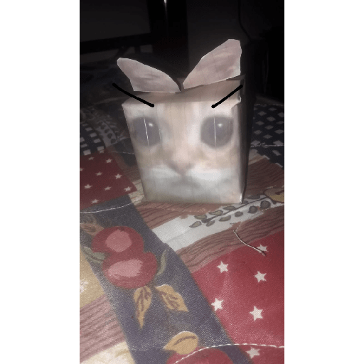 No se xddd 22