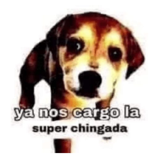 No se xddd 6