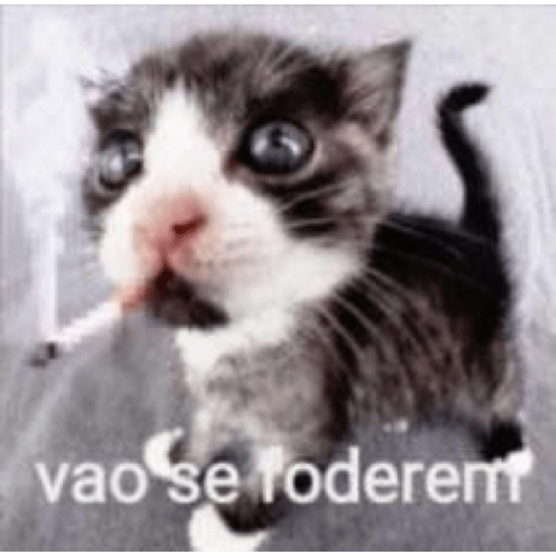 Figurinhas legais e daoras 6