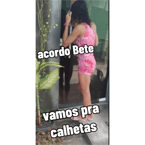 Minhas figurinhas 17