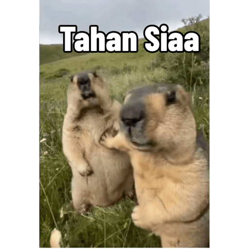 My stickers 8