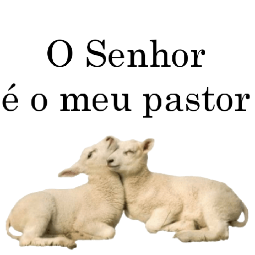 Figurinhas 35 17