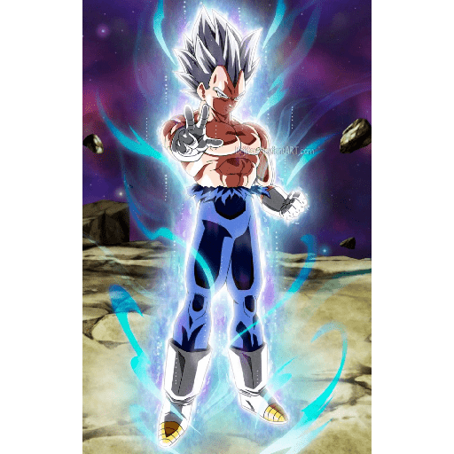 Dragon ball 12 1