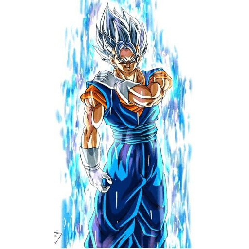 Dragon ball 12 8
