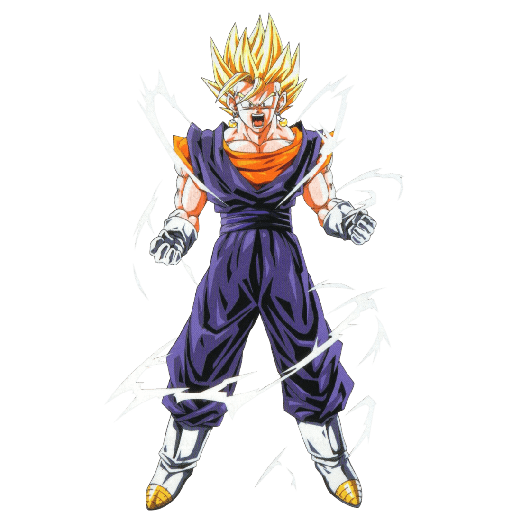Dragon ball 12 9