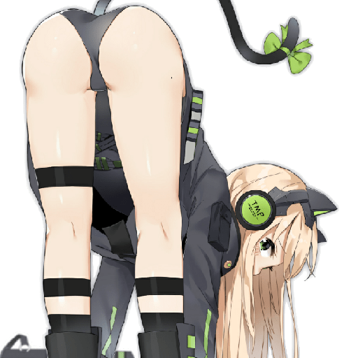 Tmp girls frontline 30