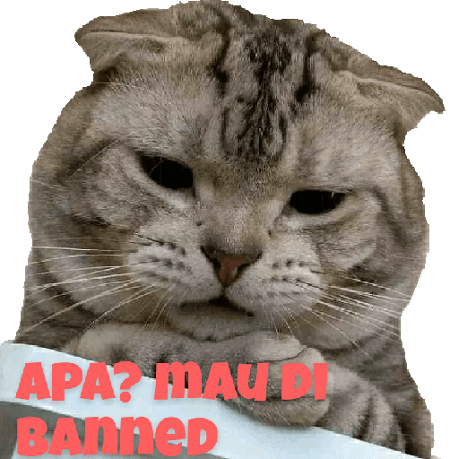 PUNYA ADMIN 12