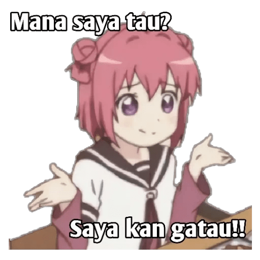 PUNYA ADMIN 19